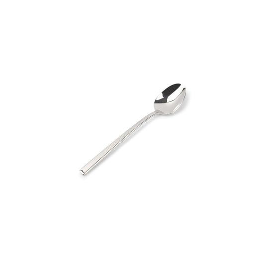 Koffielepel glanzend Terno set/6