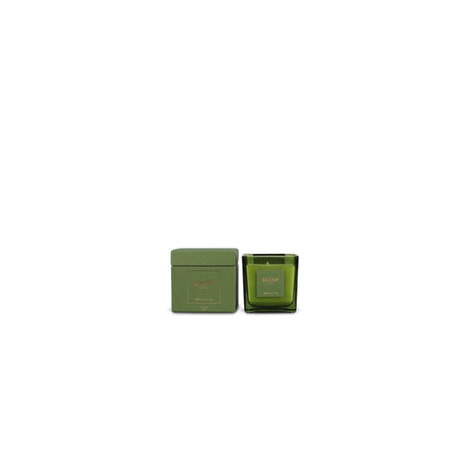 Salt en pepper geurkaars 220 g forest gallery